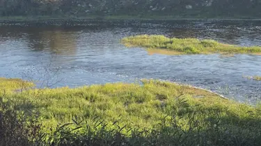 Dere kenarında acı oyun: 10 yaşındaki Hızır Ali hayatını kaybetti