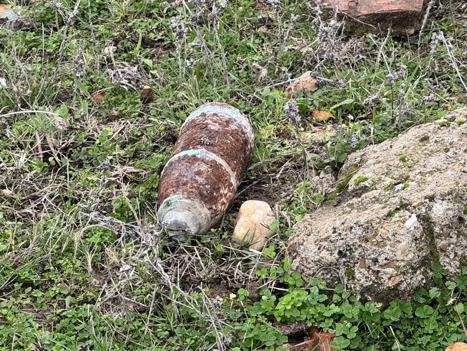 Mantar toplarken patlamamış top mermisi buldular