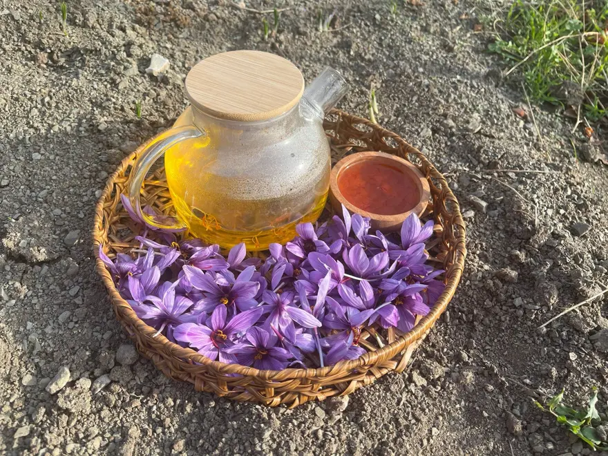 Kilogramı 600 bin TL'yi buluyor... Denemek için ekmişti, dünyanın en pahalı bitkisini yetiştirdi 4