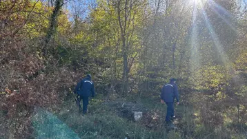 Mantar toplamak için gittiği ormanda kayboldu