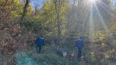 Mantar toplamak için gittiği ormanda kayboldu