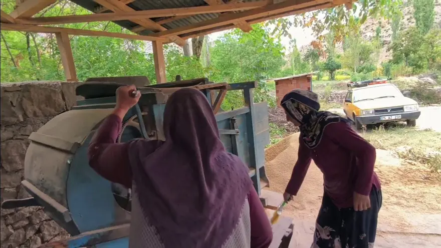 Dağların arasında bereketli topraklar: Hasadı başladı, üretimin yapıldığını duyan şaşırıyor 2