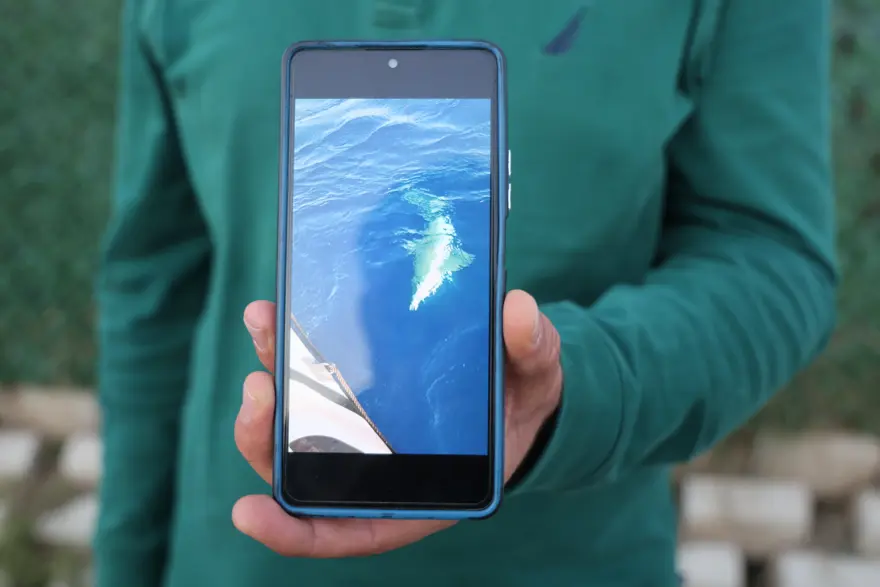 Hatay'da oltasına köpek balığı takıldı! 1 saat mücadele etti, o anları anlattı 3