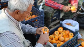 Açık hava fabrikası gibi köy: Üretmeyen yok, kilosu 500 TL