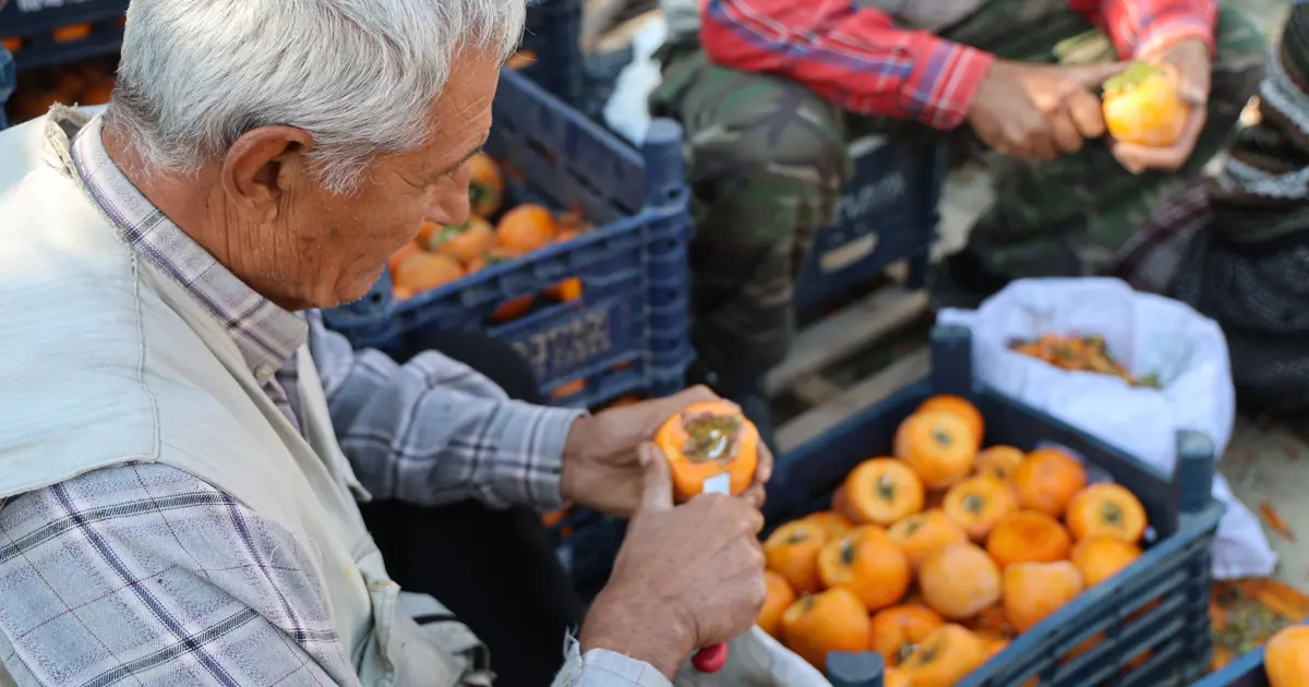 Açık hava fabrikası gibi köy: Üretmeyen yok, kilosu 500 TL