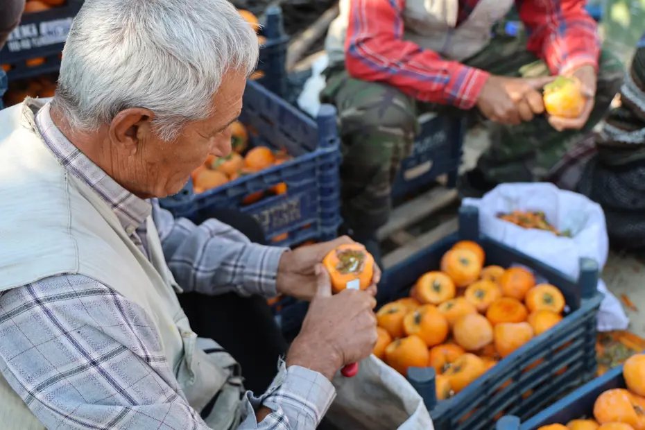 Açık hava fabrikası gibi köy: Üretmeyen yok, kilosu 500 TL