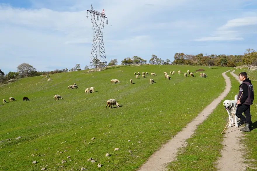 Mimar oldu, köyüne döndü: Onu "Küpeli Çoban" olarak tanıyorlar 2 Mimar oldu, köyüne döndü: Onu "Küpeli Çoban" olarak tanıyorlar 2