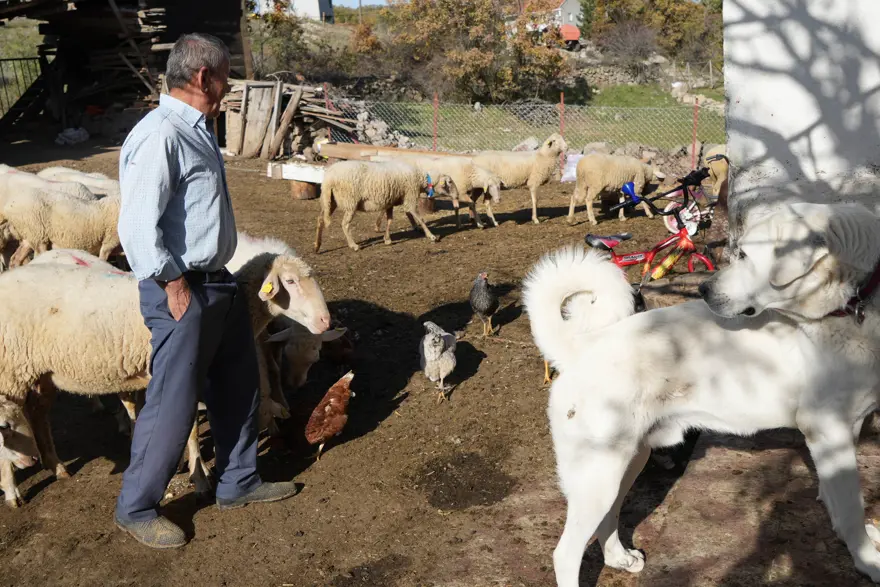 "HAYVANCILIKTA ZARAR ETMEK ÇOK ZOR"
3 "HAYVANCILIKTA ZARAR ETMEK ÇOK ZOR"
3