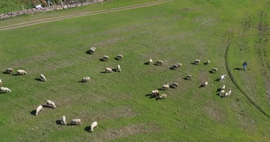 Mimar oldu, köyüne döndü: Onu "Küpeli Çoban" olarak tanıyorlar 5 Mimar oldu, köyüne döndü: Onu "Küpeli Çoban" olarak tanıyorlar 5