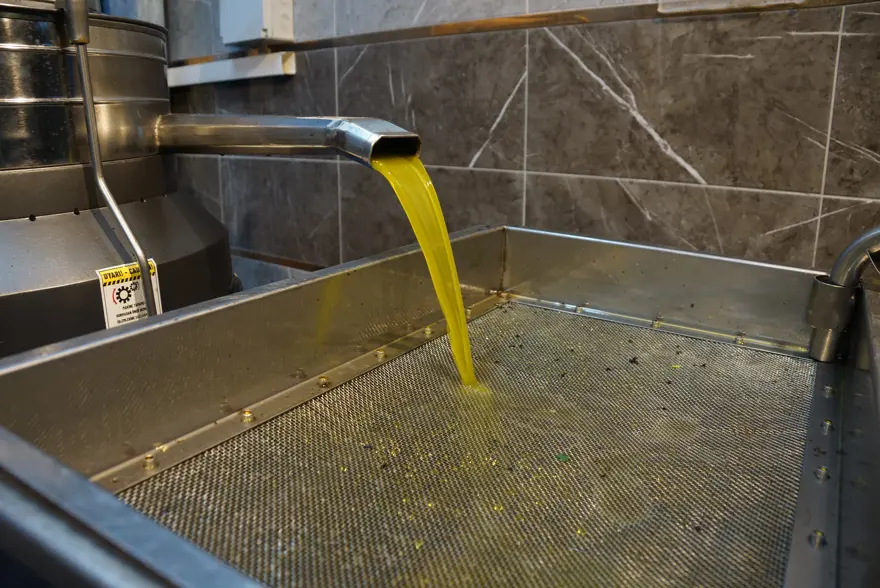 Rekolte düşük ama yine yüz güldürdü: Dönüşümü başladı 1