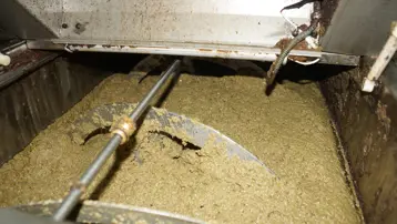 Rekolte düşük ama yine yüz güldürdü: Dönüşümü başladı