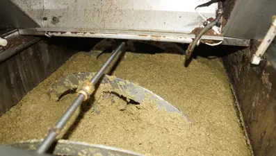 Rekolte düşük ama yine yüz güldürdü: Dönüşümü başladı