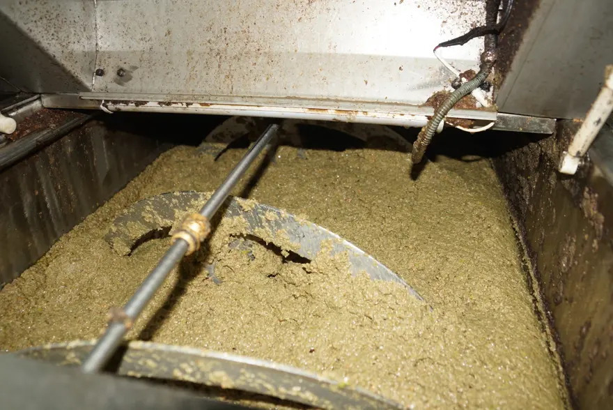 Rekolte düşük ama yine yüz güldürdü: Dönüşümü başladı 