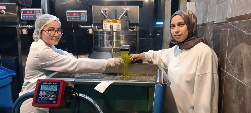 Rekolte düşük ama yine yüz güldürdü: Dönüşümü başladı 4