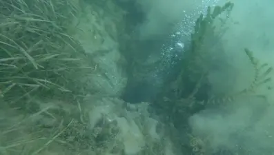 Sapanca Gölü'nde esrarengiz görüntü: Sosyal medyada deprem korkusu yarattı