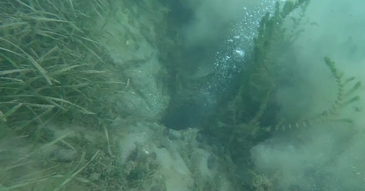 Sapanca Gölü'nde esrarengiz görüntü: Sosyal medyada deprem korkusu yarattı