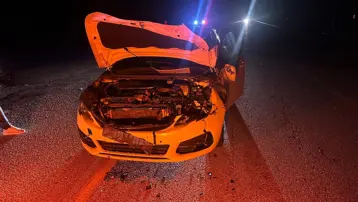 Yola çıkan dana kazaya neden oldu: 2 yaralı