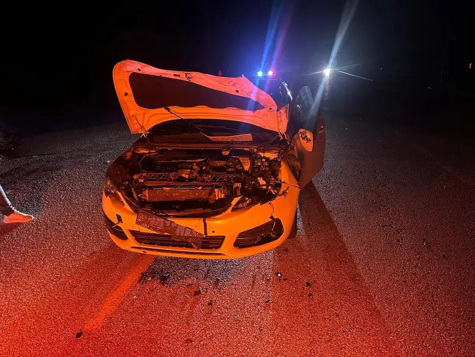 Yola çıkan dana kazaya neden oldu: 2 yaralı