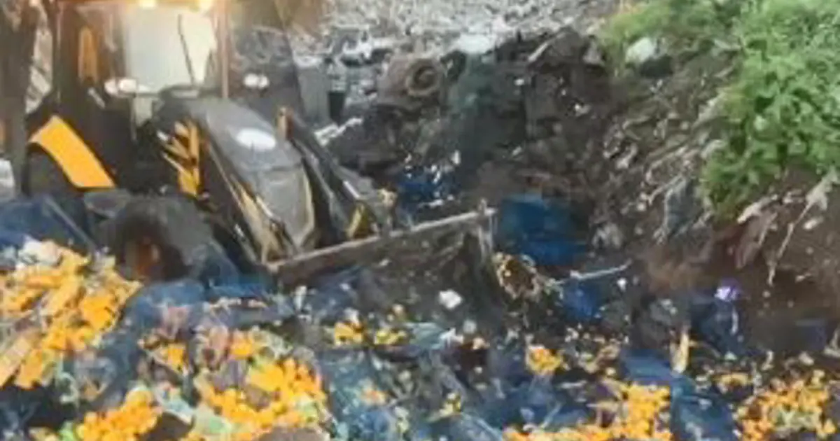 Sarp Sınır Kapısı’nda 6 ton mandalina imha edildi: Zirai ilaç kalıntısı tespit edildi