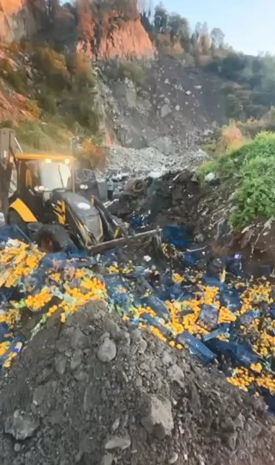 Sarp Sınır Kapısı’nda 6 ton mandalina imha edildi: Zirai ilaç kalıntısı tespit edildi