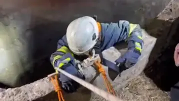 Su kuyusuna düşen çakalı itfaiye kurtardı