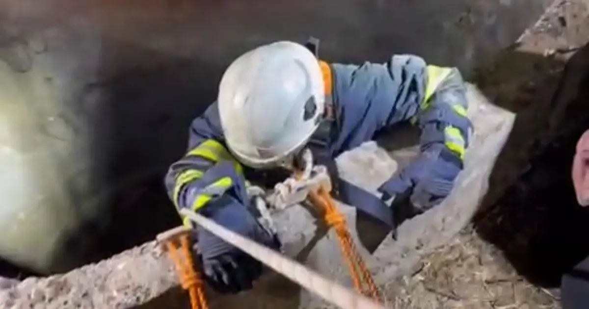 Su kuyusuna düşen çakalı itfaiye kurtardı