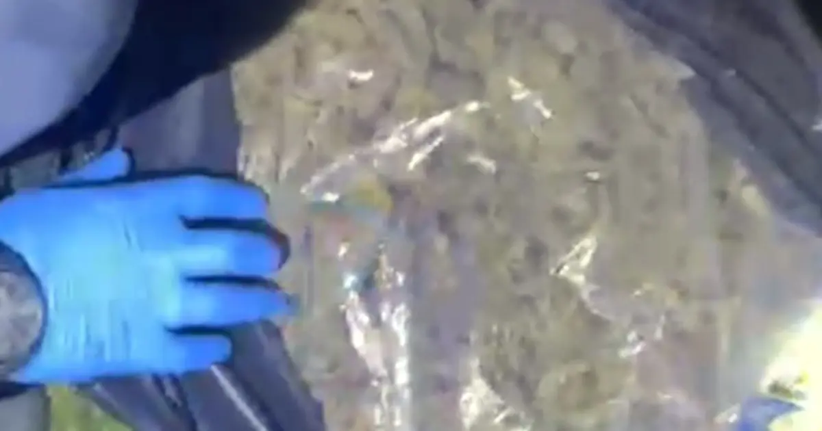 Muğla’da 4 milyon TL değerinde uyuşturucu ele geçirildi