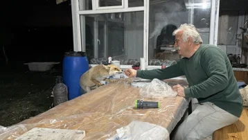 Tokat'ta alışılmadık misafirlik: Her akşam gelip besleniyorlar