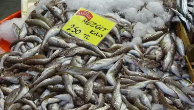 En iyisi 200-250 TL'den satılıyor, kapış kapış gidiyor: Havalar soğudukça fiyatı da düşüyor