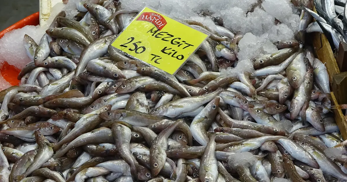 En iyisi 200-250 TL'den satılıyor, kapış kapış gidiyor: Havalar soğudukça fiyatı da düşüyor