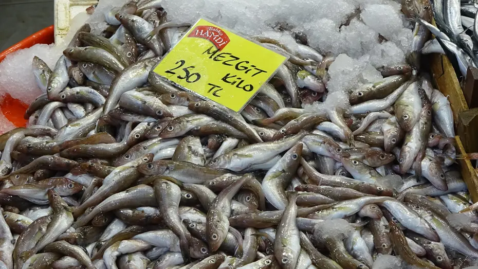 En iyisi 200-250 TL'den satılıyor, kapış kapış gidiyor: Havalar soğudukça fiyatı da düşüyor