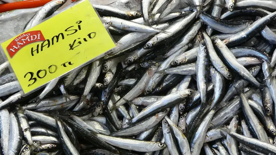 "İSTEDİĞİMİZ BOLLUK YOK" 1