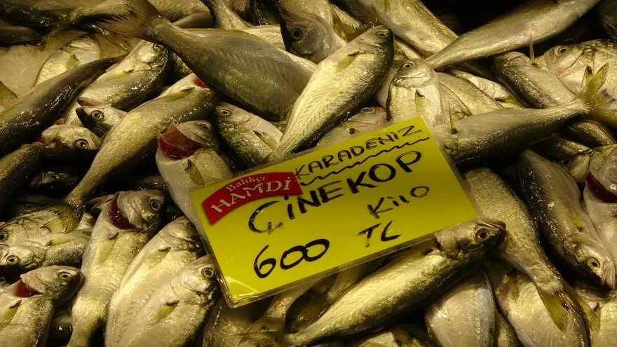 ASGARİ ÜCRETLİ, EMEKLİ HERKES ALABİLİR 3