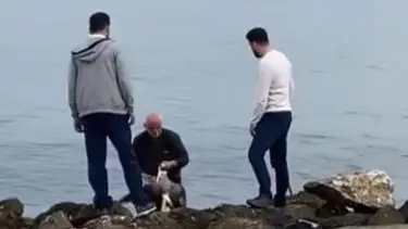 Oltaya takılan martıyı vatandaş kurtardı 