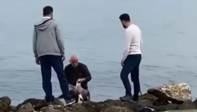 Oltaya takılan martıyı vatandaş kurtardı 