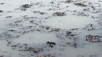 Sapanca Gölü&#x27;nün ardından bir gölde daha görüldü: Bölgede kabarcık paniği