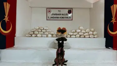 Diyarbakır’da kilolarca skunk ve esrar ele geçirildi