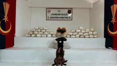 Diyarbakır’da kilolarca skunk ve esrar ele geçirildi