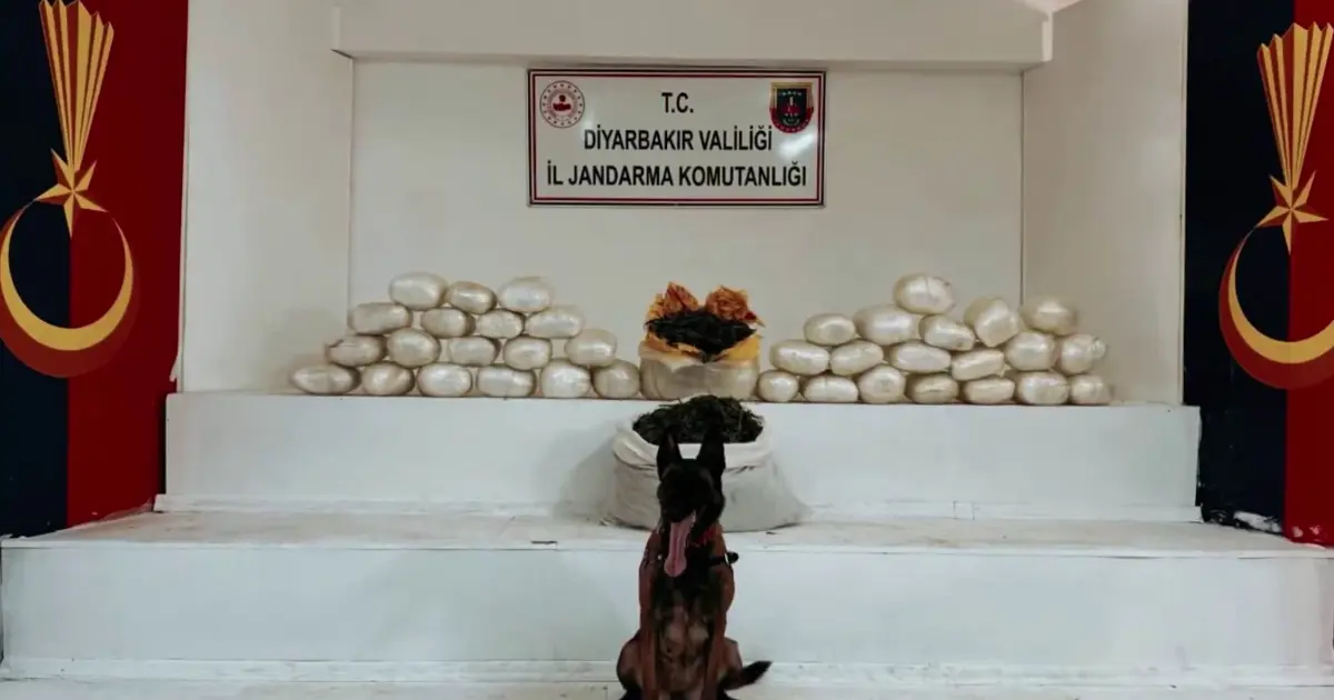 Diyarbakır’da kilolarca skunk ve esrar ele geçirildi