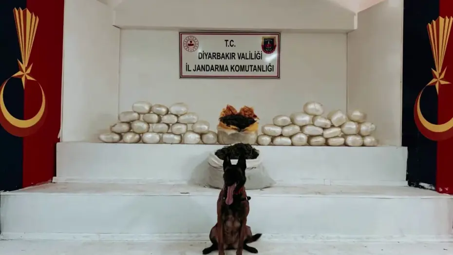 Diyarbakır’da kilolarca skunk ve esrar ele geçirildi