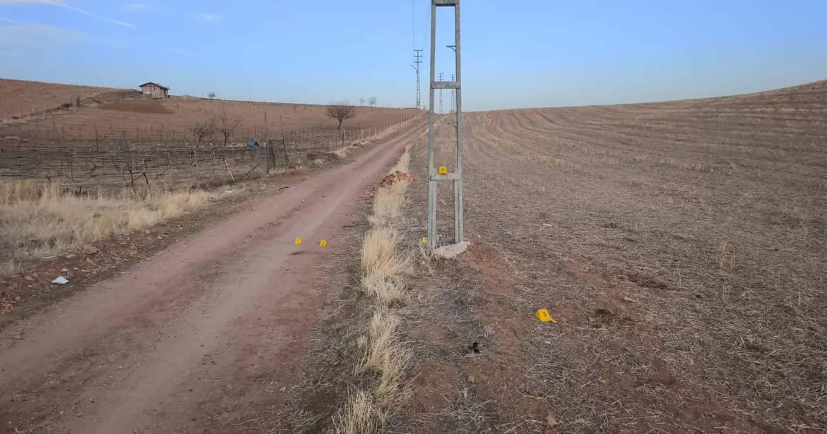 Atıyla gezerken elektrik direğine çarpıp öldü