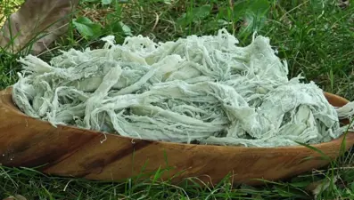 Doğal antibiyotiğin kilosu 500 TL: Kazanlarda kaynatılarak hazırlanıyor