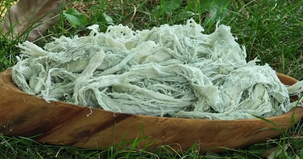 Doğal antibiyotiğin kilosu 500 TL: Kazanlarda kaynatılarak hazırlanıyor