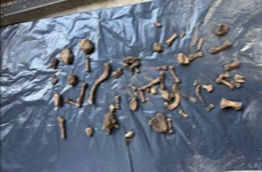 BAHÇEDEKİ KEMİKLER EMRAH ELVEREN'İN ÇIKTI 2