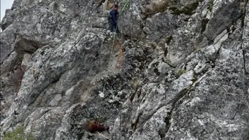 Dağda mahsur kalan keçileri itfaiye kurtardı