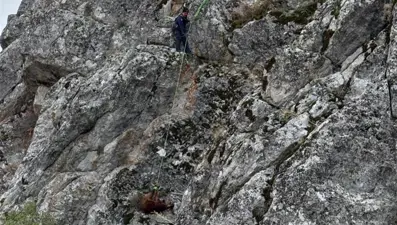 Dağda mahsur kalan keçileri itfaiye kurtardı