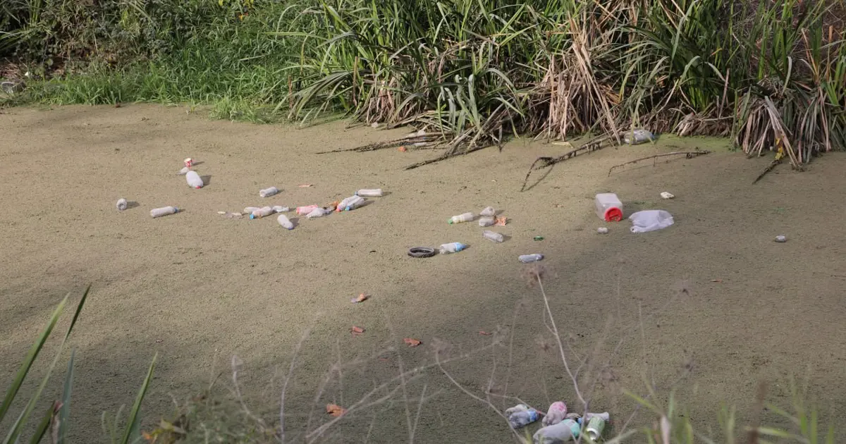 Su kanalı çöplüğe döndü