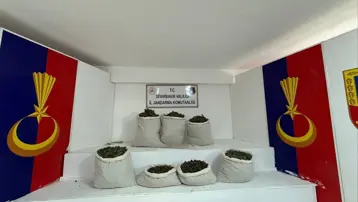 Uyuşturucu operasyonu: 85 kilogram esrar ele geçirildi