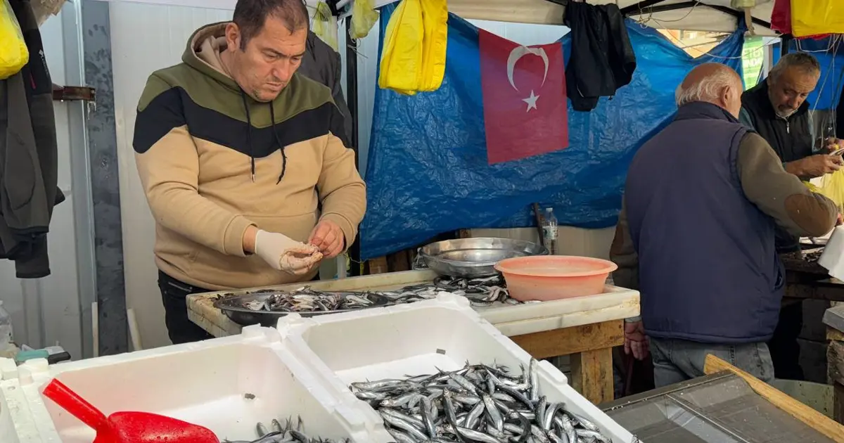 Tezgahların gözde balığında fiyat artışı: Kilosu 150 liraya satılıyor
