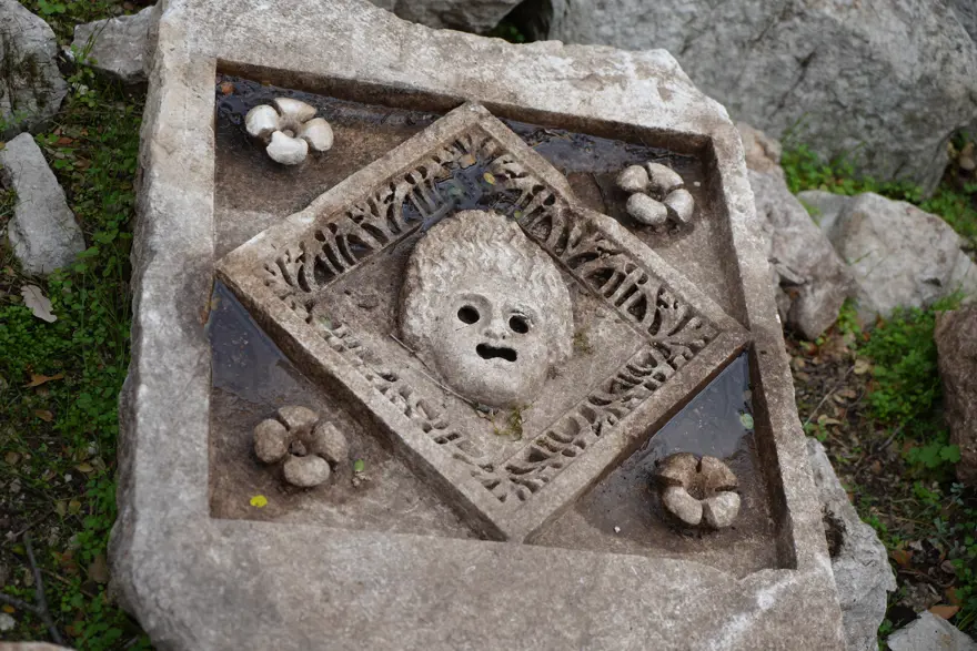 TERMESSOS ÇİĞDEMİ: ENDEMİK BİR TÜR 7